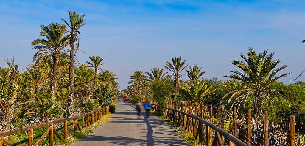 Pinada y dunas Guardamar